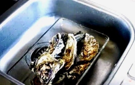 Как открыть устрицу?