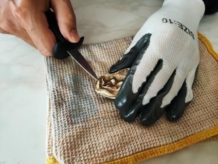 Как открыть устрицу?