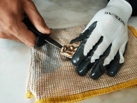 Как открыть устрицу?