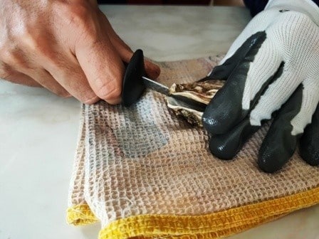 Как открыть устрицу?