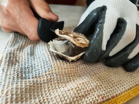 Как открыть устрицу?