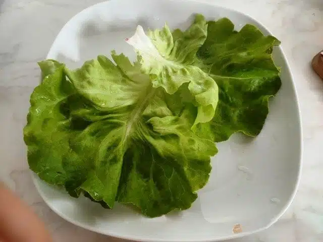 Салат Нисуаз с тунцом: классический рецепт