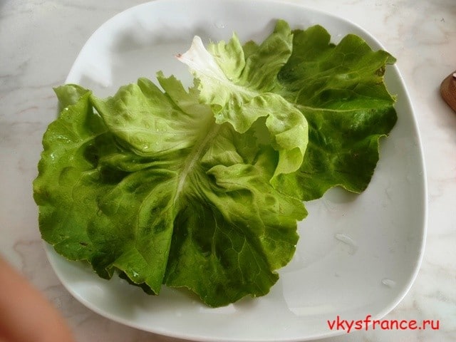 salat-nisuaz_4